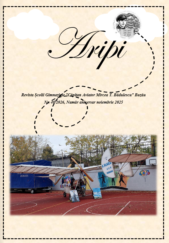 Aripi_png.png